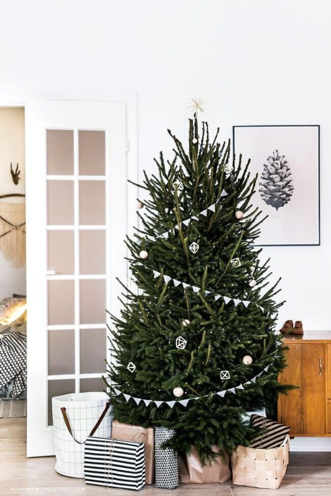 Nordic Calm Minimalism
