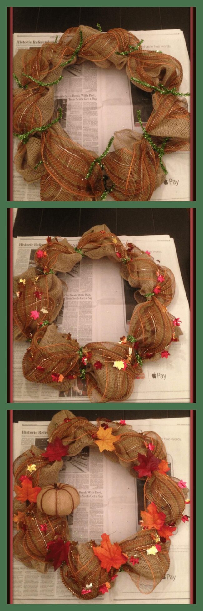 Maple Leaves Embrace Autumn