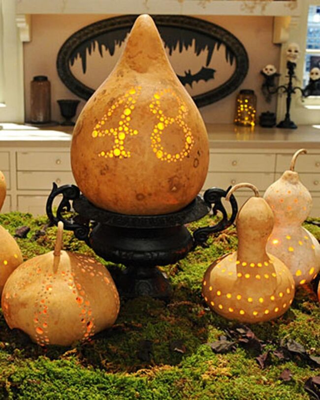 Carved Pumpkin Shadows Dance