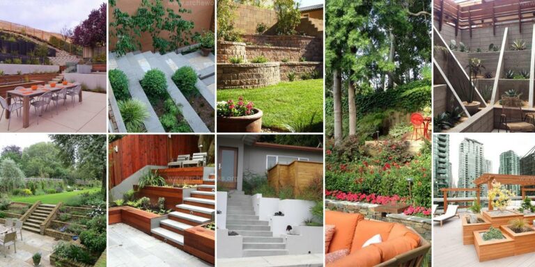 Top Terraced Planter Ideas for Landscapes