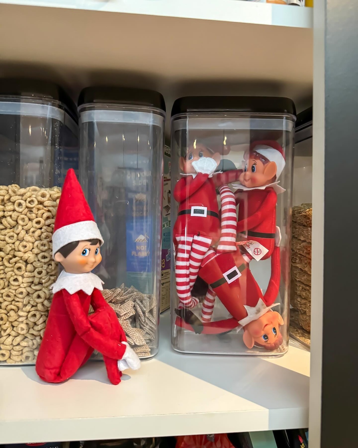 18 Fun Elf On The Shelf Ideas to Try - Archeworks